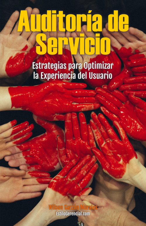 Auditoría de Servicio: Estrategias para Optimizar la Experiencia del Usuario